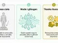 Masa ciała, woda i tkanka tłuszczowa. Zrozumienie tych elementów pomoże Ci ocenić, ile można schudnąć w 3 miesiące.