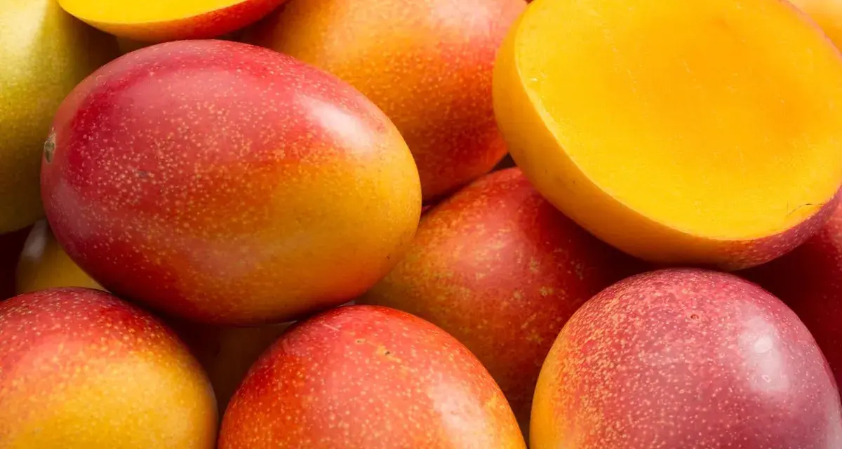 Soczyste mango, czy jest zdrowe? Tak, to tropikalny przysmak pełen witamin.