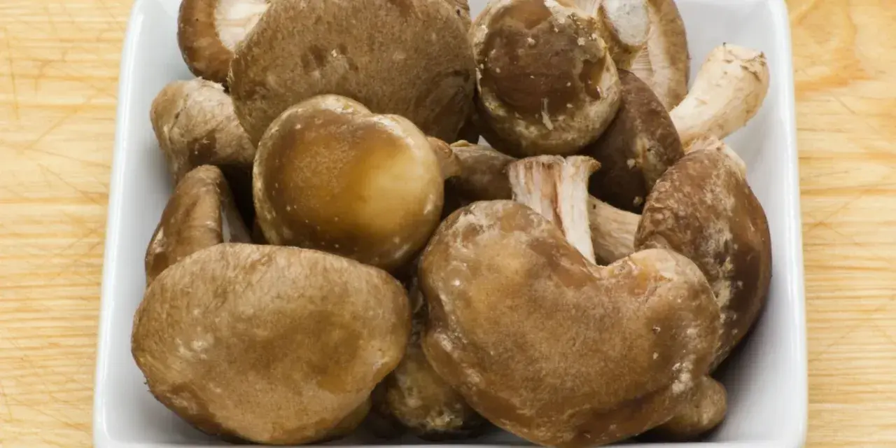 Świeże grzyby shiitake w białej misce, idealne na keto dietę.