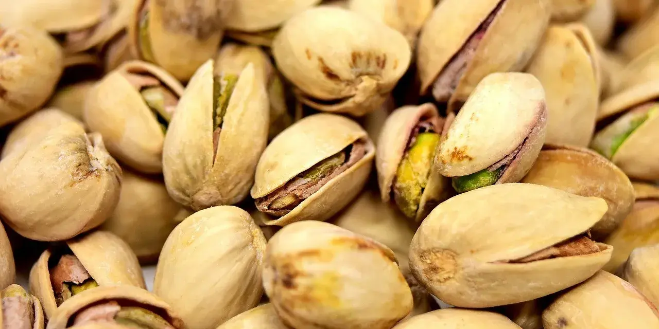 Mnóstwo pistacji, idealnych na keto przekąskę. Zielone wnętrza kuszą, a skorupki otwierają się, zapraszając do chrupania.