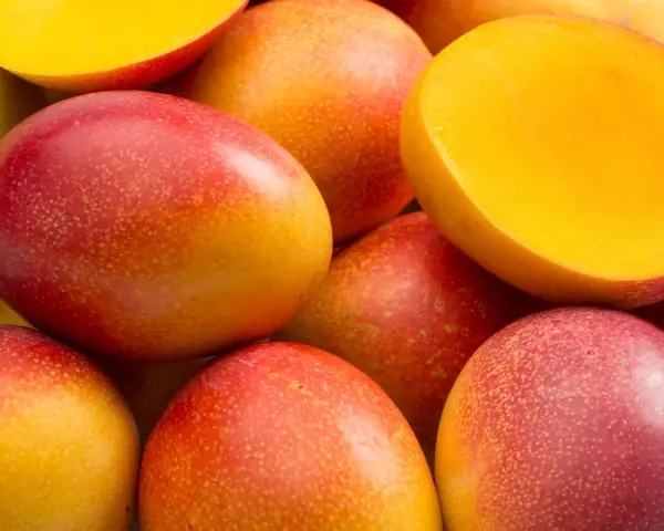 Soczyste mango, czy jest zdrowe? Tak, to tropikalny przysmak pełen witamin.