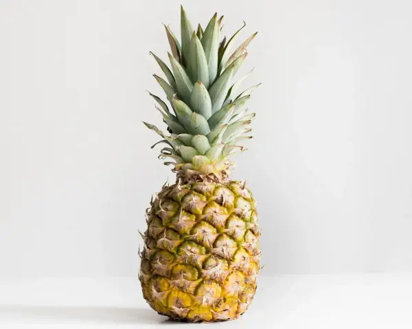 Ananas z zielonymi liśćmi i żółtą skórką. Poznaj jego ananas wartości odżywcze.